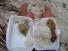 ab17-badfood.jpg